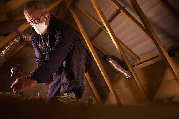 Best Insulation Maintenance and Repair in King, NC
